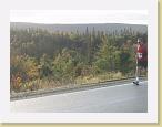 IMG_4594 * 1600 x 1200 * (577KB)