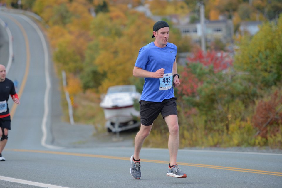2019 NB 0341
