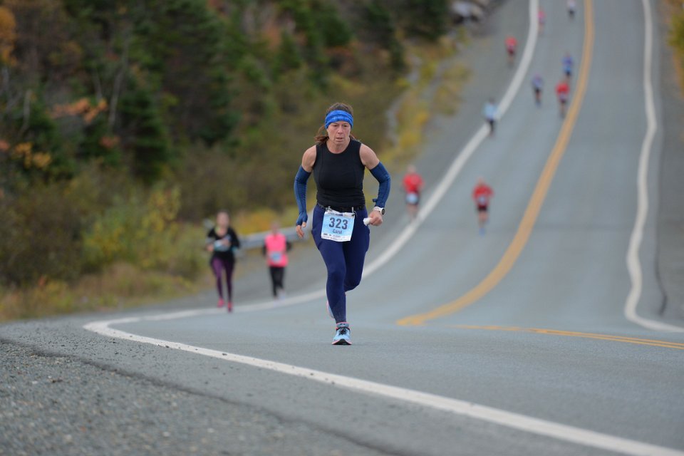 2019 NB 0506